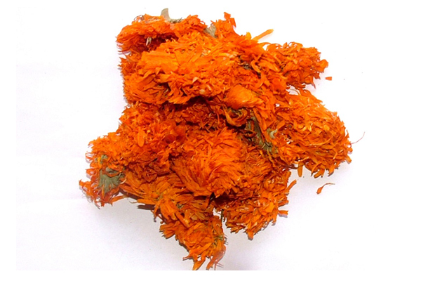 Calendula1