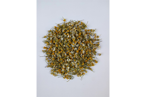 Chamomile flower1