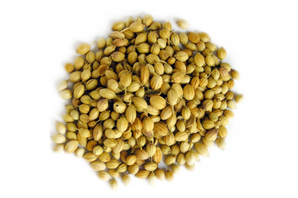 Coriander Seeds1