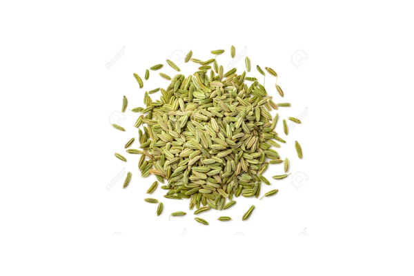 Fennel seeds1