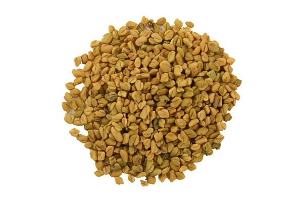 Fenugreek Seed1